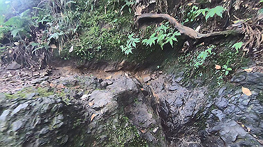 gx011903.mp4_snapshot_00.16_thumb.jpg