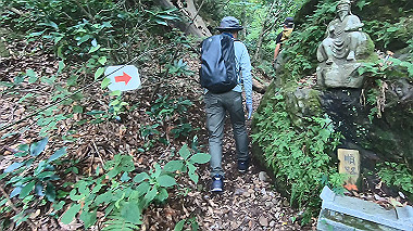 gx011903.mp4_snapshot_01.36_thumb.jpg