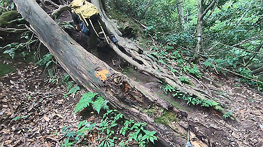 gx011903.mp4_snapshot_01.54_thumb.jpg