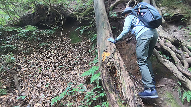 gx011904.mp4_snapshot_00.01_thumb.jpg