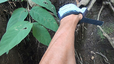 gx011904.mp4_snapshot_00.22_thumb.jpg