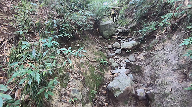 gx011907.mp4_snapshot_00.58_thumb.jpg