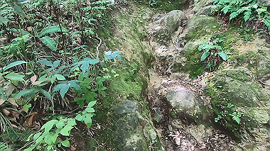 gx011908.mp4_snapshot_00.23_thumb.jpg