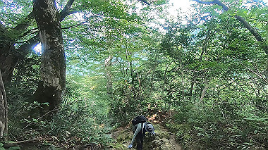gx011908.mp4_snapshot_00.39_thumb.jpg