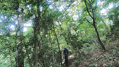 gx011909.mp4_snapshot_00.22_thumb.jpg