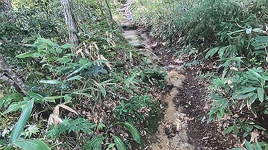 gx011909.mp4_snapshot_02.13_thumb.jpg
