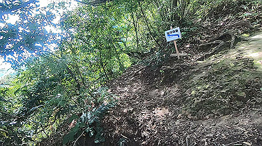 gx011910.mp4_snapshot_00.07_thumb.jpg