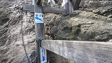 gx011911.mp4_snapshot_00.16_thumb.jpg