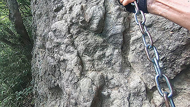 gx011911.mp4_snapshot_00.44_thumb.jpg