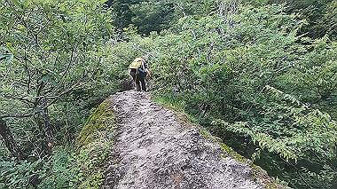 gx011913.mp4_snapshot_00.36_thumb.jpg