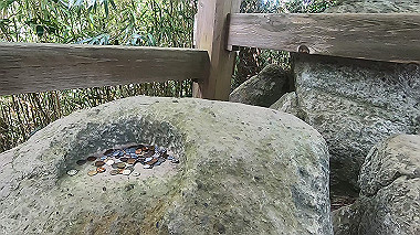 gx011918.mp4_snapshot_00.13_thumb.jpg