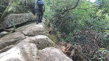 gx011919.mp4_snapshot_00.00_thumb.jpg