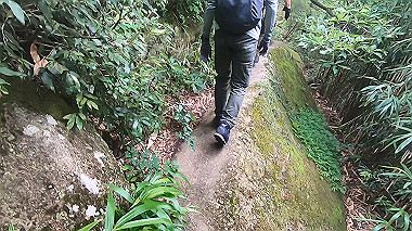 gx011919.mp4_snapshot_00.36_thumb.jpg