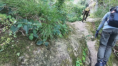 gx011919.mp4_snapshot_01.57_thumb.jpg