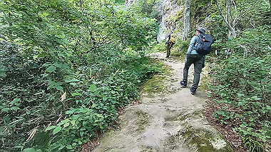 gx011919.mp4_snapshot_02.12_thumb.jpg