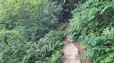 gx011920.mp4_snapshot_00.14_thumb.jpg