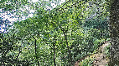 gx011921.mp4_snapshot_00.08_thumb.jpg