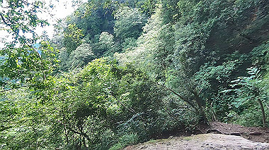 gx011922.mp4_snapshot_01.34_thumb.jpg