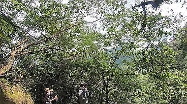 gx011922.mp4_snapshot_01.55_thumb.jpg