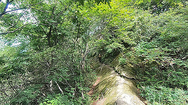 gx011925.mp4_snapshot_00.29_thumb.jpg