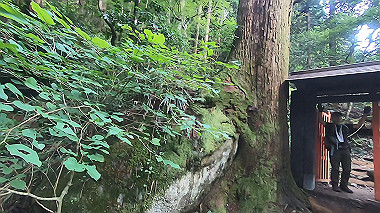 gx011931.mp4_snapshot_02.10_thumb.jpg