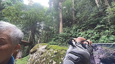 gx011932.mp4_snapshot_02.19_thumb.jpg