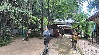 gx011932.mp4_snapshot_03.24_thumb.jpg
