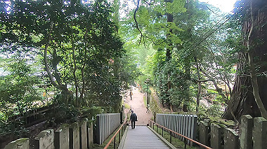 gx011932.mp4_snapshot_07.00_thumb.jpg