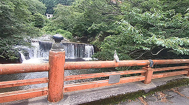 gx011934.mp4_snapshot_00.10_thumb.jpg