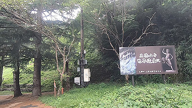 gx011934.mp4_snapshot_00.48_thumb.jpg