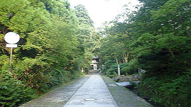 p7180059_thumb.jpg
