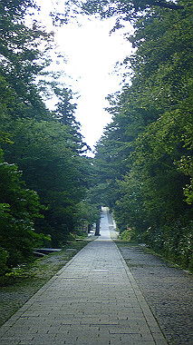 p7180067_thumb.jpg
