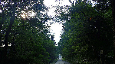 p7180068_thumb.jpg