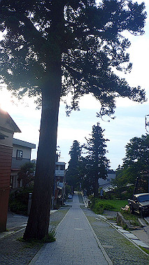 p7180069_thumb.jpg