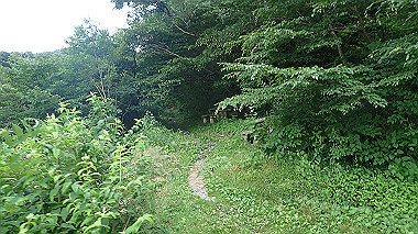 p7190098_thumb.jpg