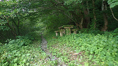 p7190099_thumb.jpg