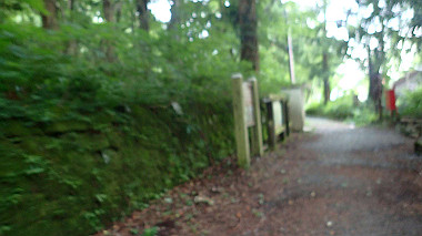 p7190104_thumb.jpg