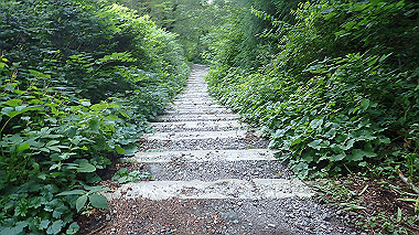 p7190106_thumb.jpg
