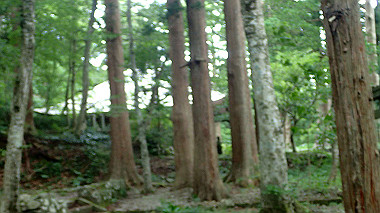p7190117_thumb.jpg