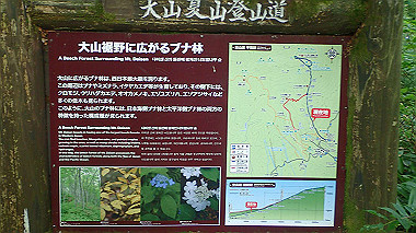 p7190127_thumb.jpg