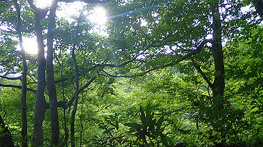 p7190128_thumb.jpg
