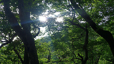 p7190129_thumb.jpg