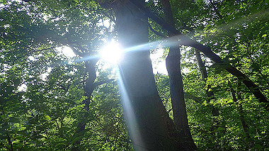 p7190133_thumb.jpg