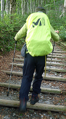 p7190136_thumb.jpg