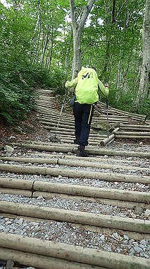 p7190141_thumb.jpg
