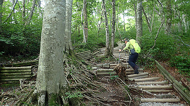 p7190142_thumb.jpg