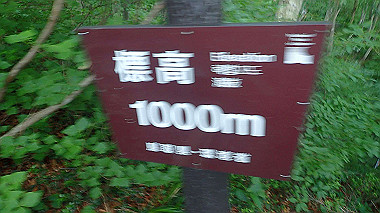 p7190148_thumb.jpg