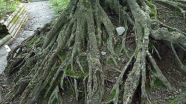 p7190150_thumb.jpg