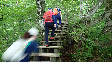 p7190153_thumb.jpg