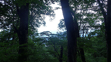 p7190155_thumb.jpg